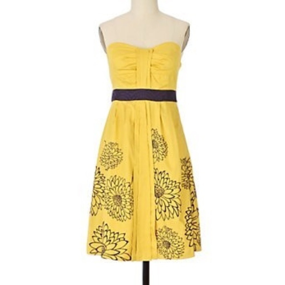 💛💜RARE💛💜Anthropologie, Floreat, “Il Royale” dress, 10